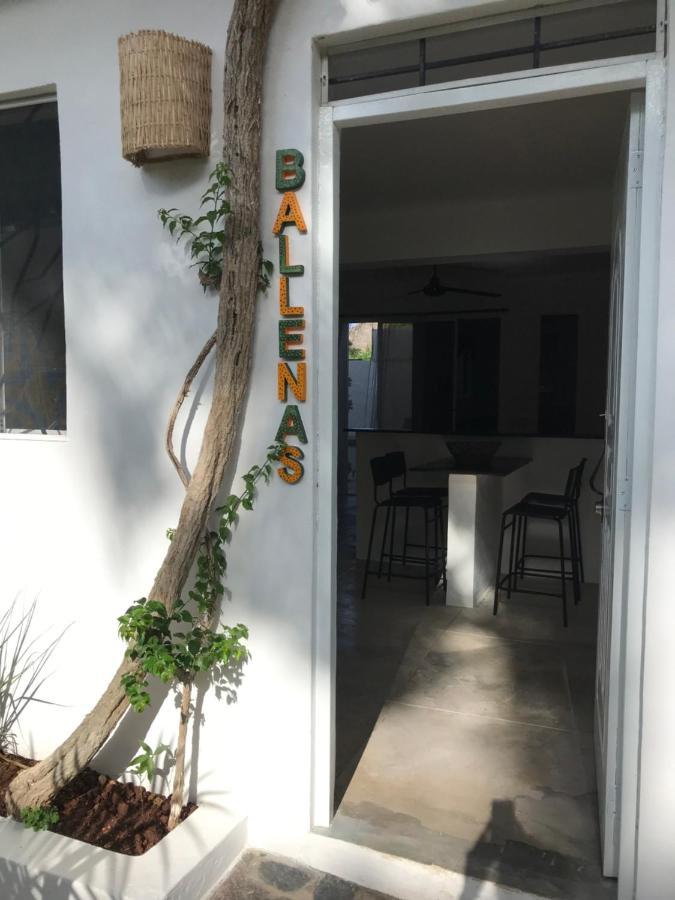 New Moringa Διαμέρισμα Las Terrenas Εξωτερικό φωτογραφία